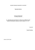 Zapytanie ofertowe.pdf