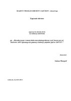 Zapytanie ofertowe.pdf