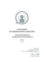 Raport podsumowujący.pdf