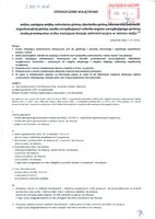 Mazurek-Huk Irena_rozczytane.pdf